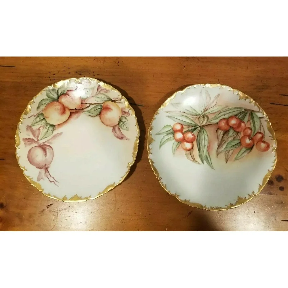 Antique T&V Limoges France Depose Hand Painted Plates 8.25